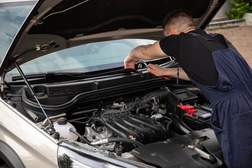 Levapioli: What the Tool Is and How It Works