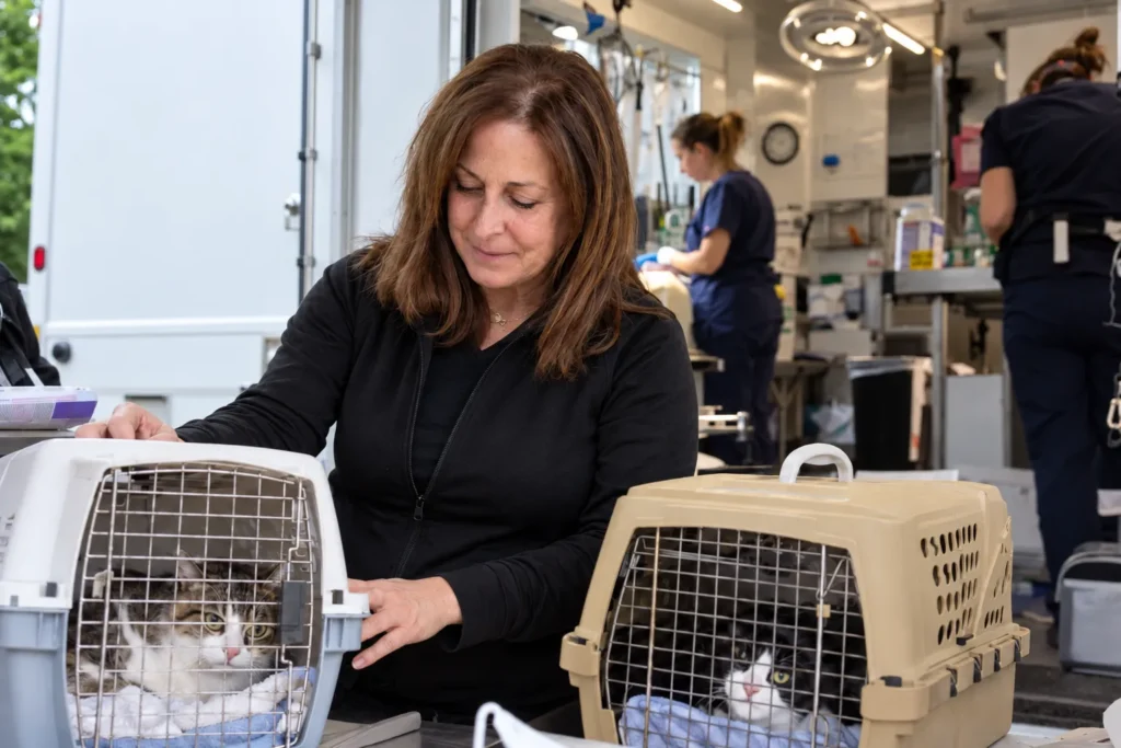 Donna Sicuranza: Career, TEAM Leadership and Animal Welfare Work